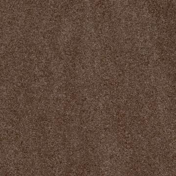 S62008 - Brown Sahara