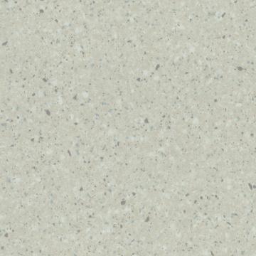 S66019 - Dexter White