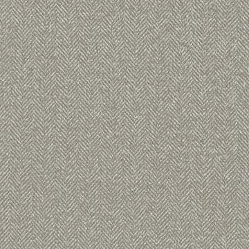 F73036 - Suit Grey Light