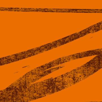 F73055 - Loop Orange