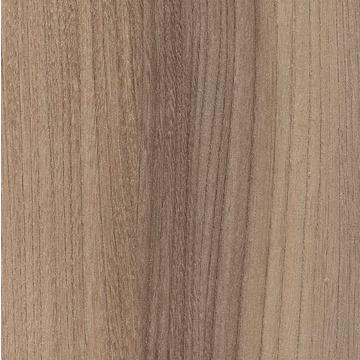 R37003 - Truffle Baron Elm