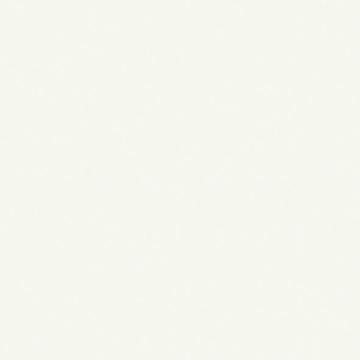 W10616 - Polar White